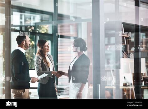 Youre going to love working here. businesswomen shaking hands in a