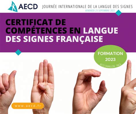 Focus Sur La Formation Certificat De Compétences En Langues Des Signes