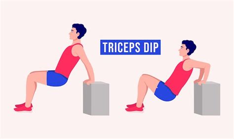 Premium Vector Triceps Dip Exercise Woman Workout Fitness Aerobic And Exercises