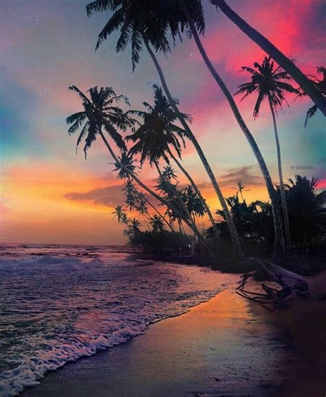 Sri Lanka Beautiful Sunset Beach Landscape Gorgeous Sunset