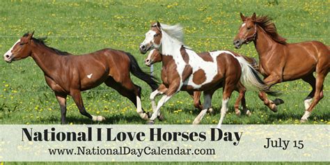 National I Love Horses Day With Over 200 Breeds These Spirited Animals