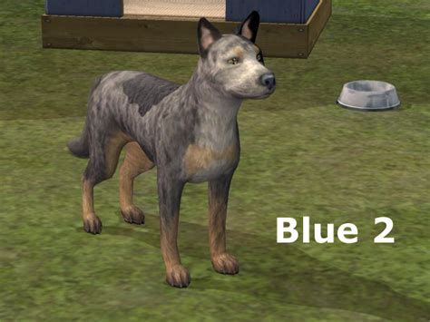 Mod The Sims A Whole Lotta Heelers Australian Cattle Dogs