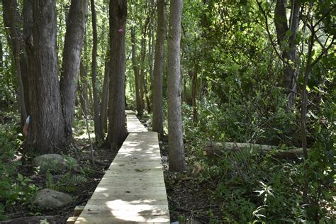 Dike Creek Reserve Dartmouth Natural Resources Trust Dnrt