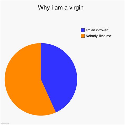 Why I Am A Virgin Imgflip