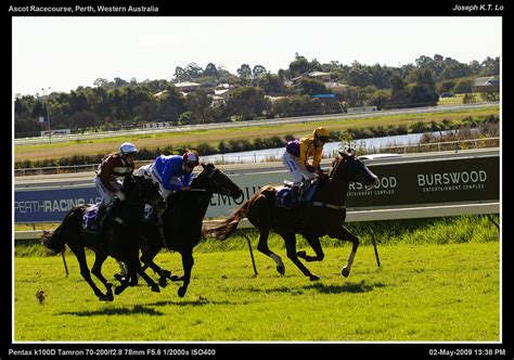 Horse Racing Ascot Racecourse Perth Western Australia