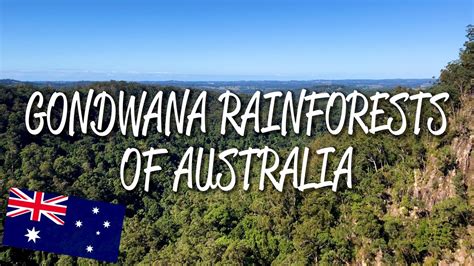 Gondwana Rainforests Of Australia Unesco World Heritage Site Youtube