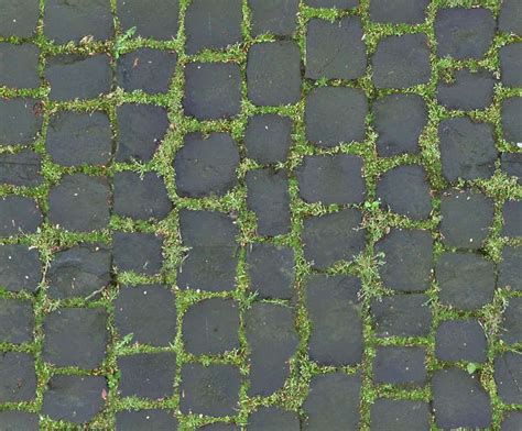 Textures Com Floorsregular Grass Texture Seamless Stone