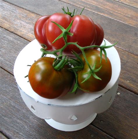 Roasted Heirloom Tomato Tart 1840 Farm