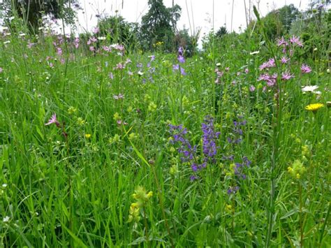 Bewerben sie ihr unternehmen kostenlos! Kundenbilder-Galerie | Hof Berg-Garten