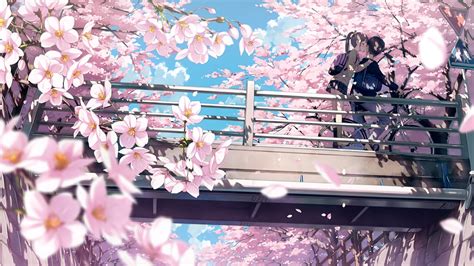 Download 1920x1080 Wallpaper Cherry Blossom Anime Couple Kiss 4k Full Hd Hdtv Fhd 1080p