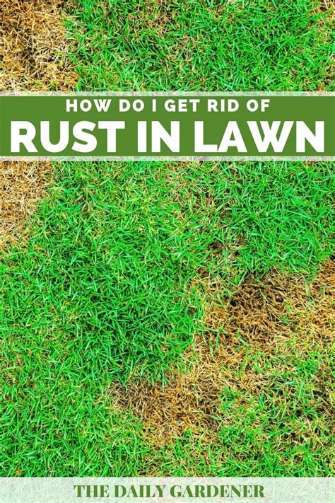 How Do I Get Rid Of Rust In My Lawn