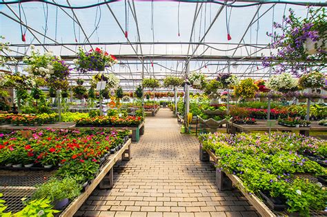 Pantai dalam is situated 460 metres west of the guesthouse @ the scott garden. Corky's Garden Path | Scott Twp. | DiscoverNEPA