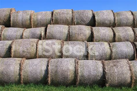 Straw Bale Stock Photo Royalty Free Freeimages