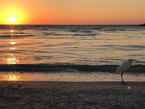 Sanibel Vacation Rentals, Florida: homes, house rentals & more | Vrbo