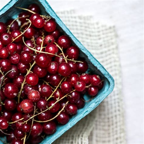 There's no chia seed texture, just a classic creamy mousse consistency that you'll love! Chocolate + Vanilla Chia Seed Mousse with Summer Berries ...
