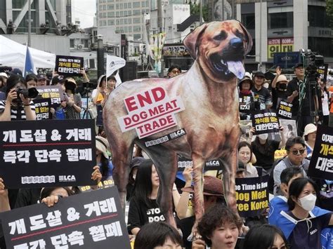 South Korea Passes Bill Banning Dog Meat Trade Vanguard News