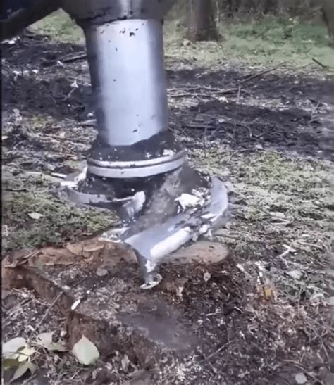 Tree Stump Removal Methods Learn