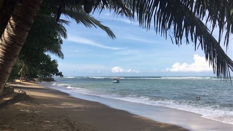 Beach In Beruwala Sri Lanka Stock Video Footage 0012 Sbv 307994330