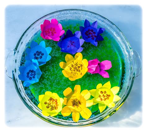 Magic Paper Blooming Flower Stem Science Trick Science For Kids Diy