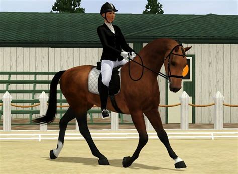 Sims 3 Horses Jumping Horse S Registration Not Required Pending