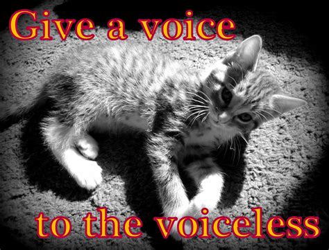 Pin on fur kiddos to the rescue