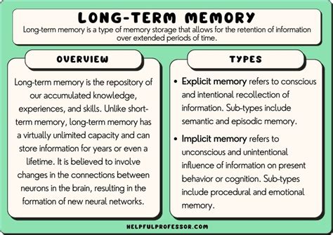 75 Long Term Memory Examples 2024