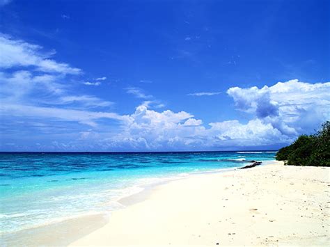 Looking for a beach hotels in genoa? Genoa Beach : Pegli Beach Genoa Image Photo Free Trial ...