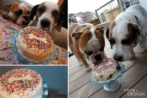 A dog cake recipe to celebrate dozer's birthday!! Puppy Cake Recipe Idea - Moms & Munchkins