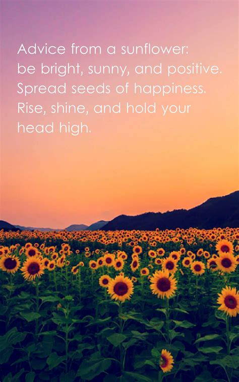 23 Beautiful Sunflower Quotes With Images