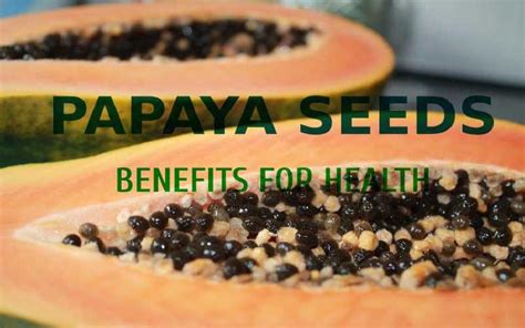 Benefits Of Papaya Seeds How To Use Papaya Seeds For Health Benefits