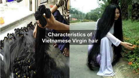 Vietnamese Virgin Hair Is A Gold Mine For Hair Vendors