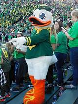 University Of Oregon Donald Duck Pictures