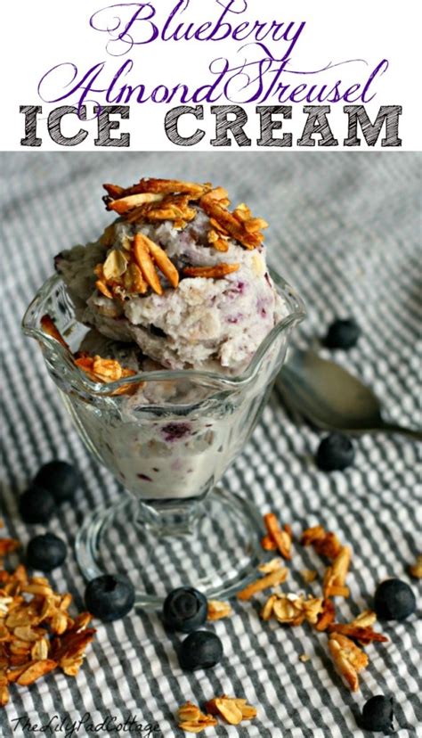 A wise old owl 114 alice the camel 115. Blueberry Almond Streusel Ice Cream - The Lilypad Cottage