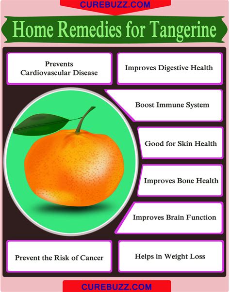 Tangerine Nutrition Brainstews