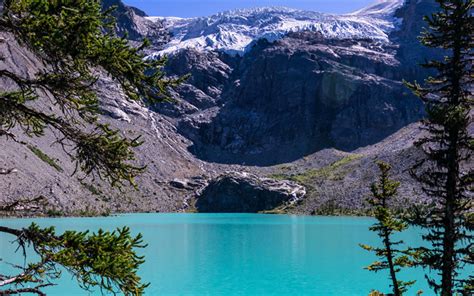 Download Wallpapers Joffre Lake Mount Matier Glacier Forest Blue