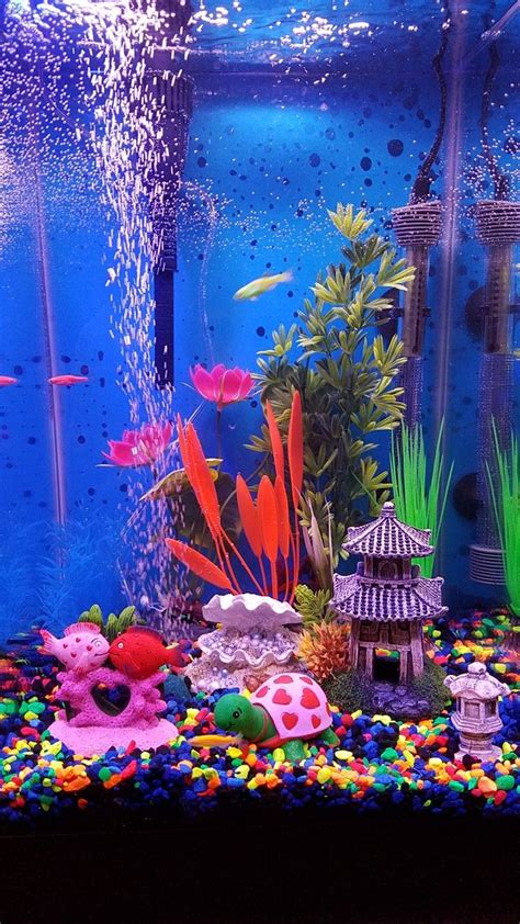 Cool Fish Tank Ideas Decor Unconventional But Totally Awesome Wedding