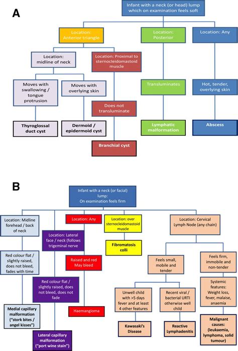 Fifteen-minute consultation: The infant with a neck lump | ADC