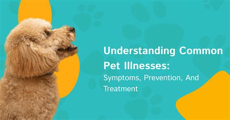 Understanding Common Pet Illnesses Symptoms Prevention And Treatment