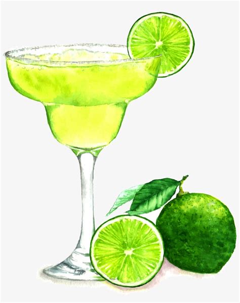 margarita clipart transparent 10 free Cliparts | Download images on