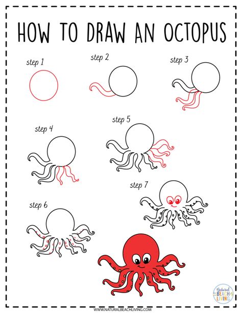 How To Draw A Ocean Animals