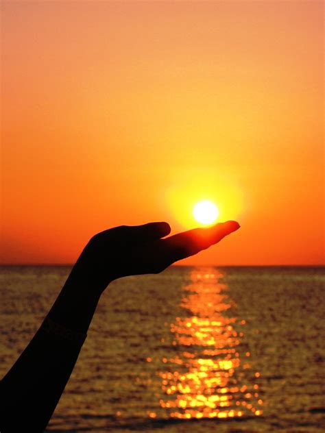 Free Images Hand Sea Ocean Horizon Silhouette Sun Sunrise