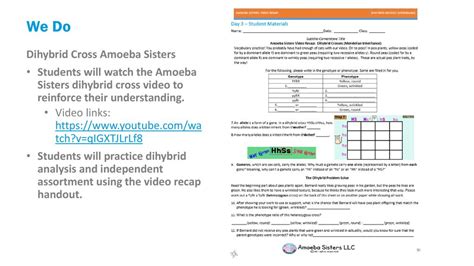 Handouts created by the amoeba sisters that correspond to amoeba sisters videos. Amoeba Sisters Monohybrid Worksheet Answers : Rosalva Chamblee