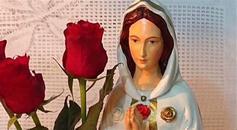 Descobrir 44 Imagen Aparições De Nossa Senhora Rosa Mistica No Brasil