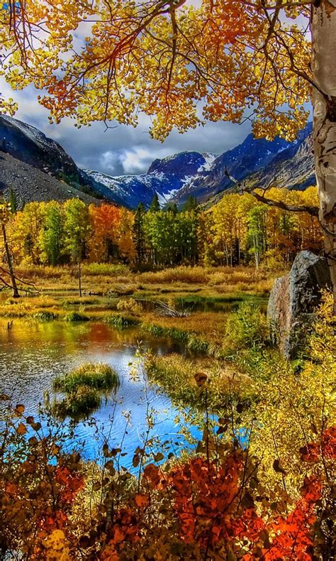 Amazing Autumn Scenery Mobile Wallpaper For 768x1280 Autumn Scenery
