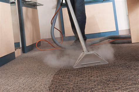 Carpet Steam Cleaning What Is It Scoopify