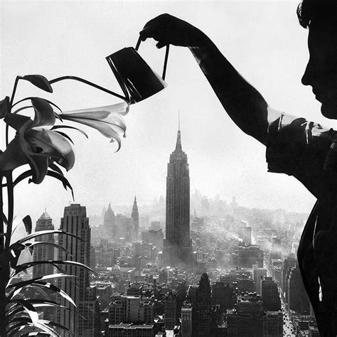 Ernie Sisto Watering Lilies New York City Old Pictures Instagram Photo