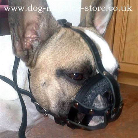 This muzzle can be worn while the dog is walking, playing or running. French Bulldog Muzzle UK Bestseller | Small Dog Muzzle - £ ...