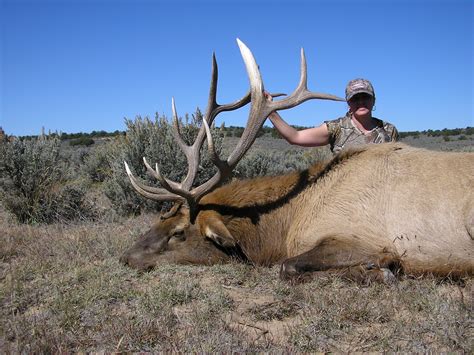 Unit 2 New Mexico Elk Hunt Compass West Outfitters Compass West