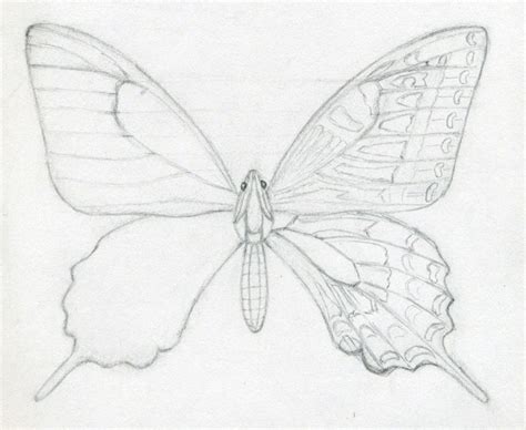 How To Draw A Butterfly. Surprisingly Easy! Easy drawing ideas for cool things to draw when you are bored.