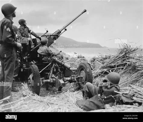 Eine Us Artillerie Crew Betreibt Die Bofors Flak In Algerien Ca 1943
